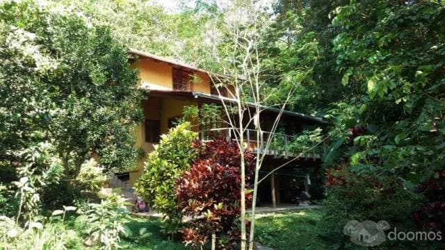 Good investment oportunity in Tarapoto - 1