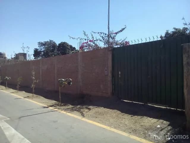 Vendo hermoso terreno en Salas Guadalupe Ica - 1