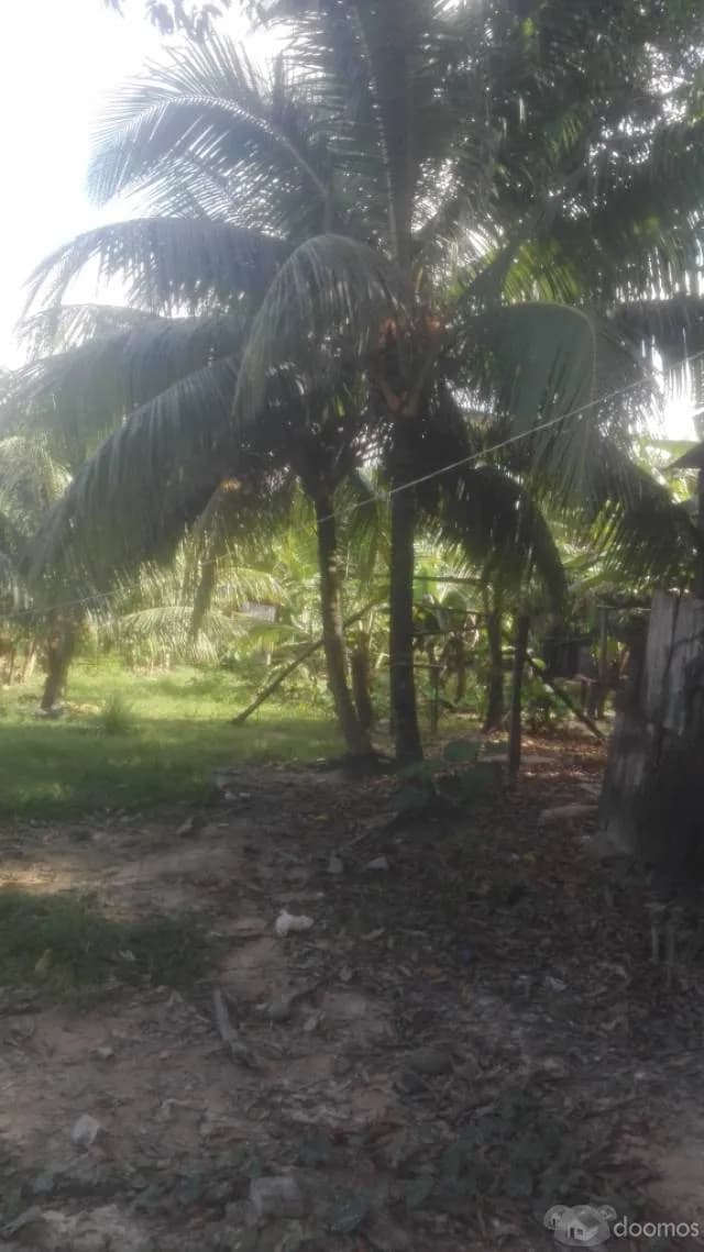 VENTA DE TERRENO!! - 1