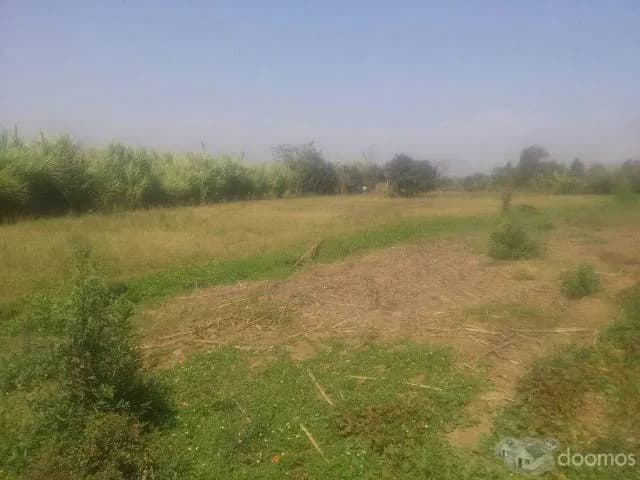 VENTA DE TERRENO DE 5900M2 EN LAREDO-BARRAZA - 1