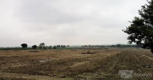 Venta de terreno Agrícola - 1