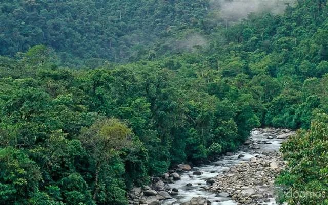 OCASIÓN INVERSIONISTAS 63 MIL M2 DEL FUNDO SANTANDER - 1