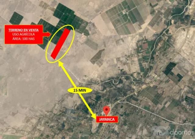 Ocasión: remato terreno agrícola en Jayanca - 1