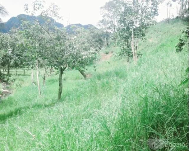 VENTA DE TERRENO AGRÍCOLA - 1