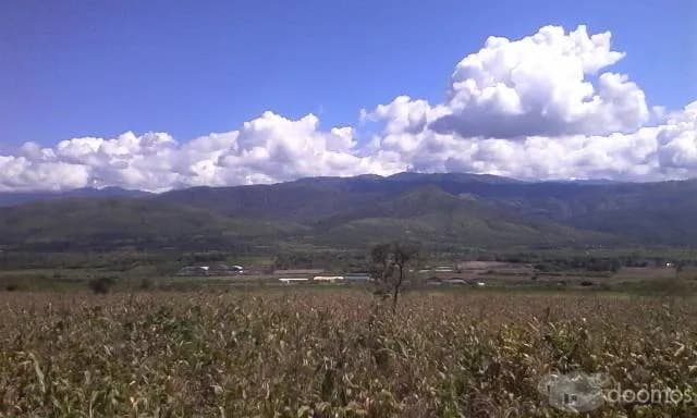VENDO TERRENO AGRÍCOLA AEROPUERTO JAÉN SHUMBA SAN AGUSTIN BELLAVISTA JAÉN CAJAMARCA - 1