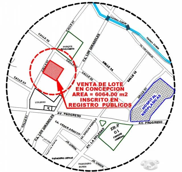 TERRENO EN VENTA CERCA AL HOSPITAL NEOPLASICAS DE CONCEPCION - 1