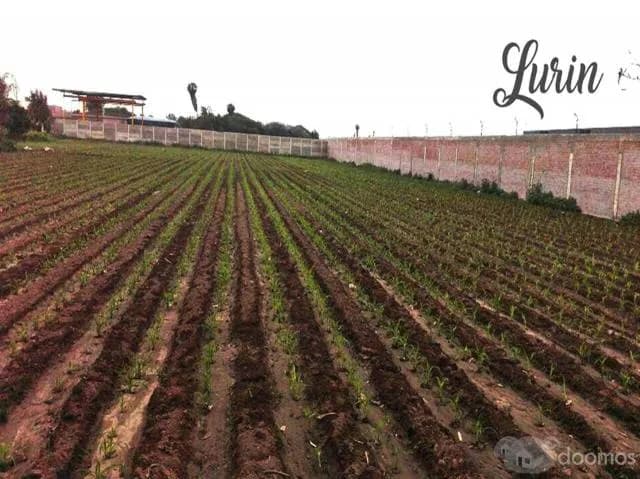 VENDO TERRENO INDUSTRIAL - 5,230 m2 - 1