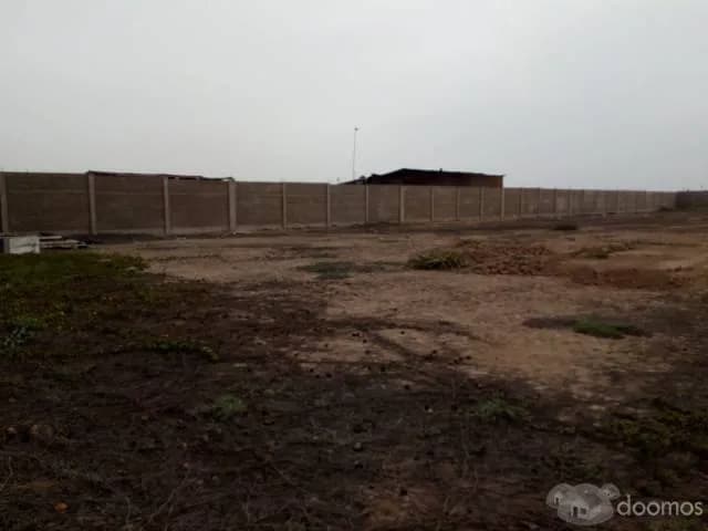 VENDO LOCAL 7,200 m2 - Lurín - 1