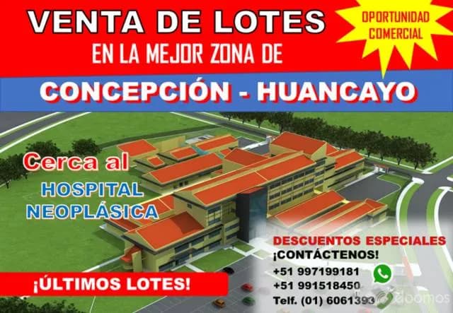 VENTA DE LOTE CERCA AL HOSPITAL NEOPLÁSICA DE CONCEPCIÓN A BUEN PRECIO - 1