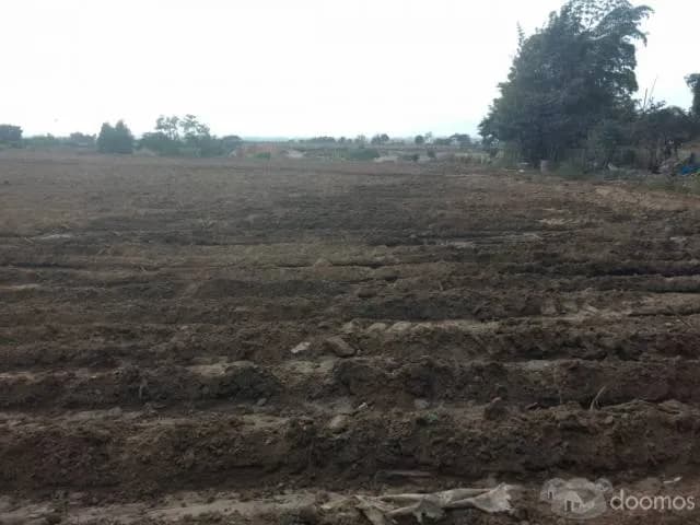 VENDO TERRENO EN CONACHE - LAREDO - 1