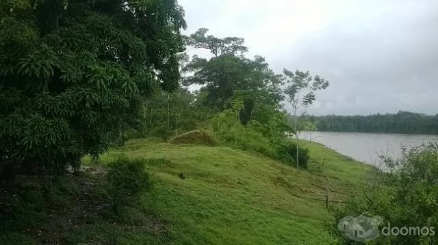 Vendo terreno de 180 Ha - 1