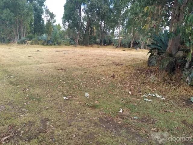 Terreno En Orcotuna Junto Al Camino De 1200 Mt2 - 1
