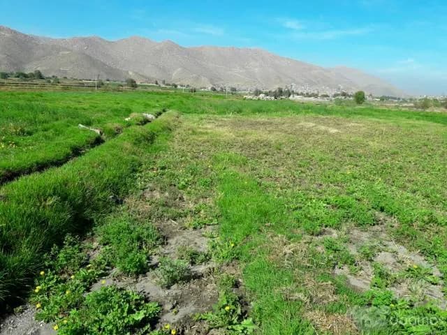 Vendo Terreno 4,508.00 m2 Las Paredes  Socabaya - 1