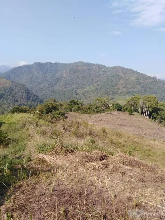 TERRENO DE 20 000 METROS A 200 METROS DE LA PISTA EN SAN LUIS DE SHUARO - 1