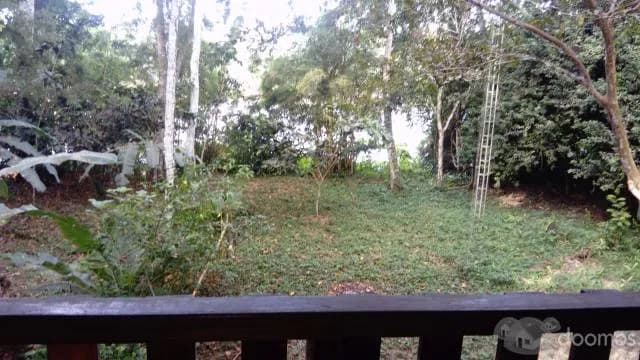 Vendo lindo terreno de 1500m2 en pleno circuito turístico de Puerto Maldonado, con vista y salida al río Tambopata - 1