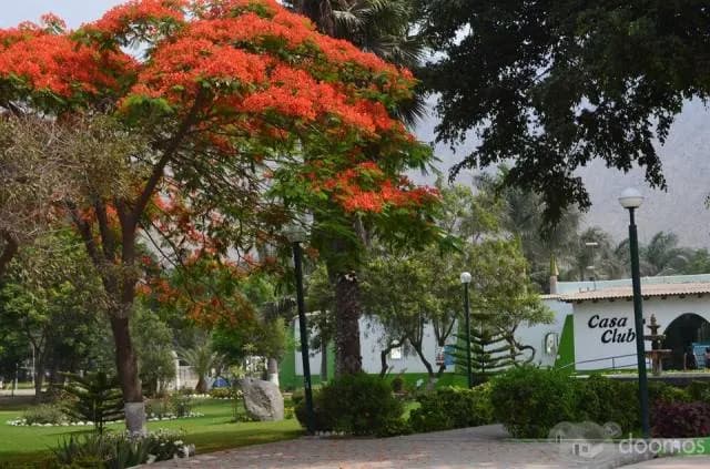 VENDO TERRENO DE 200 M2 EN CLUB RESIDENCIAL LOS GIRASOLES - CHACLACAYO - 1