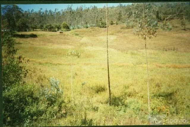 VENTA DE TERRENO EN CHACHAPOYAS - 1