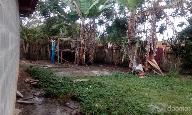 TERRENO MOYOBAMBA INDAÑE!! OFERTA LOTE! - 1