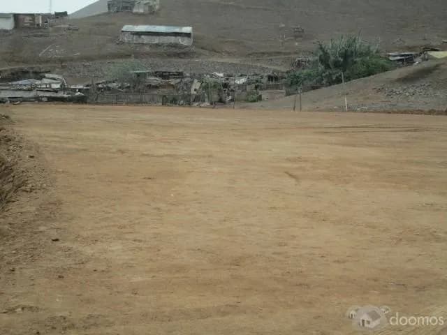 VENDO TERRENO INDUSTRIAL $ 100 m2 PARQUE PORCINO VENTANILLA - 1