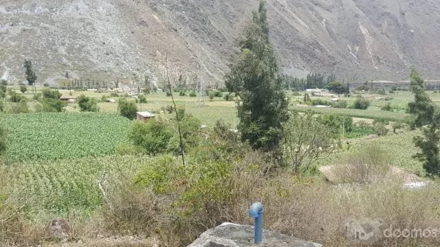 EN VENTA TERRENO EN SECTOR PISCACUCHO - OLLANTAYTAMBO - 1