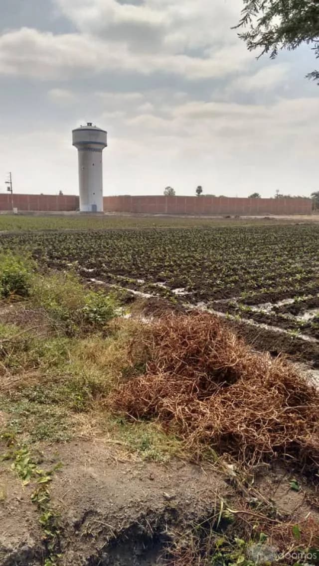 Terreno de 17348m2 Lambayeque- Chiclayo / Chacupe - La Victoria - 1