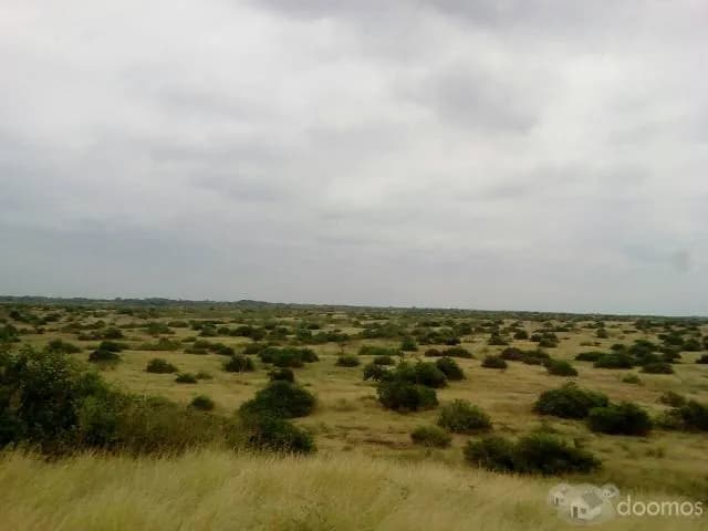 VENTA DE TERRENO - EN plena carretera "PANAMERICANA"-sullana-tambogrande - 1