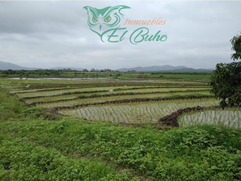 VENDO PARCELA VALLE SAN LORENZO, PIURA - 1