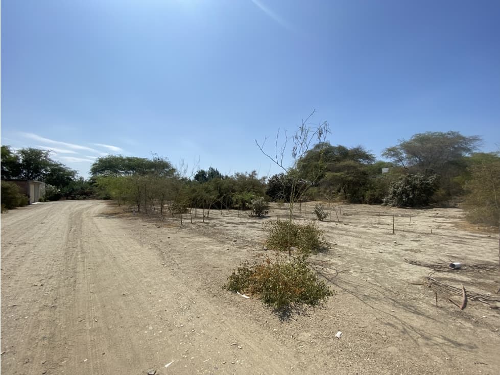 VENDO TERRENOS EN EJIDOS - 1