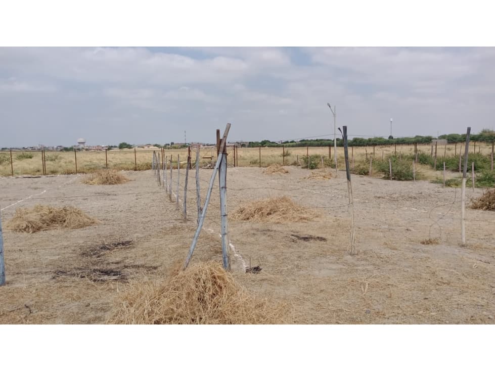 TERRENOS EN VENTA EN VISTA ALEGRE - 1