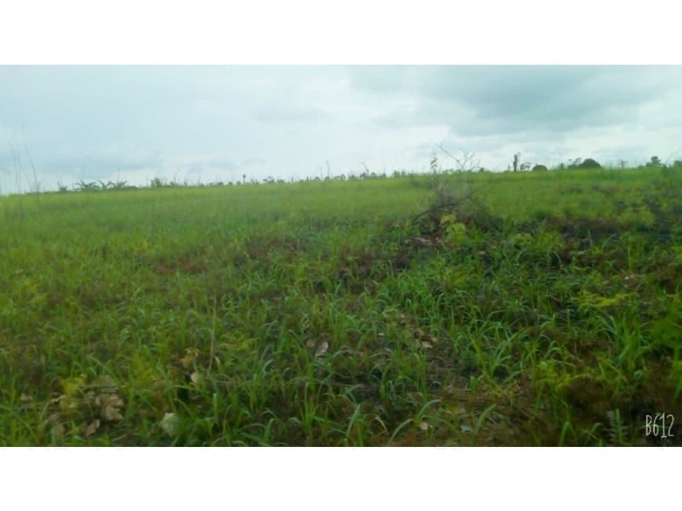 Lotes de Terreno en Venta - Pucallpa - 1