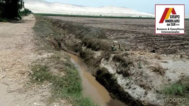 Venta de 1 parcela agrícola de 4.9370 has en Caucato alto – San Clemente - Pisco - 1