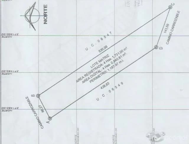 Venta de 1 parcela agrícola de 4.1731 has en Caucato alto – San Clemente - Pisco - 1