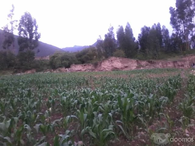 Terreno en venta en la mejor zona del valle sagrado de los incas Urubamba Cusco - 1