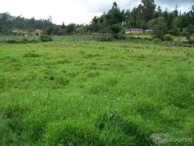 VENTA OCASION TERRENO LA LUCMA BAMBAMARCA - 1