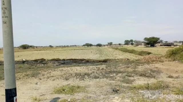 VENTA DE TERRENO AGRICOLA 3.6 HAS - EN PLENA CARRETERA PANAMERICANA NORTE - 1