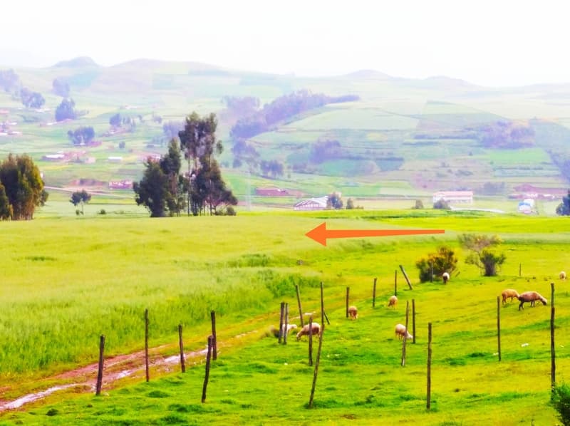 SE VENDE HERMOSO TERRENO DE 1.175 HAS. CERCA AL FUTURO - 1