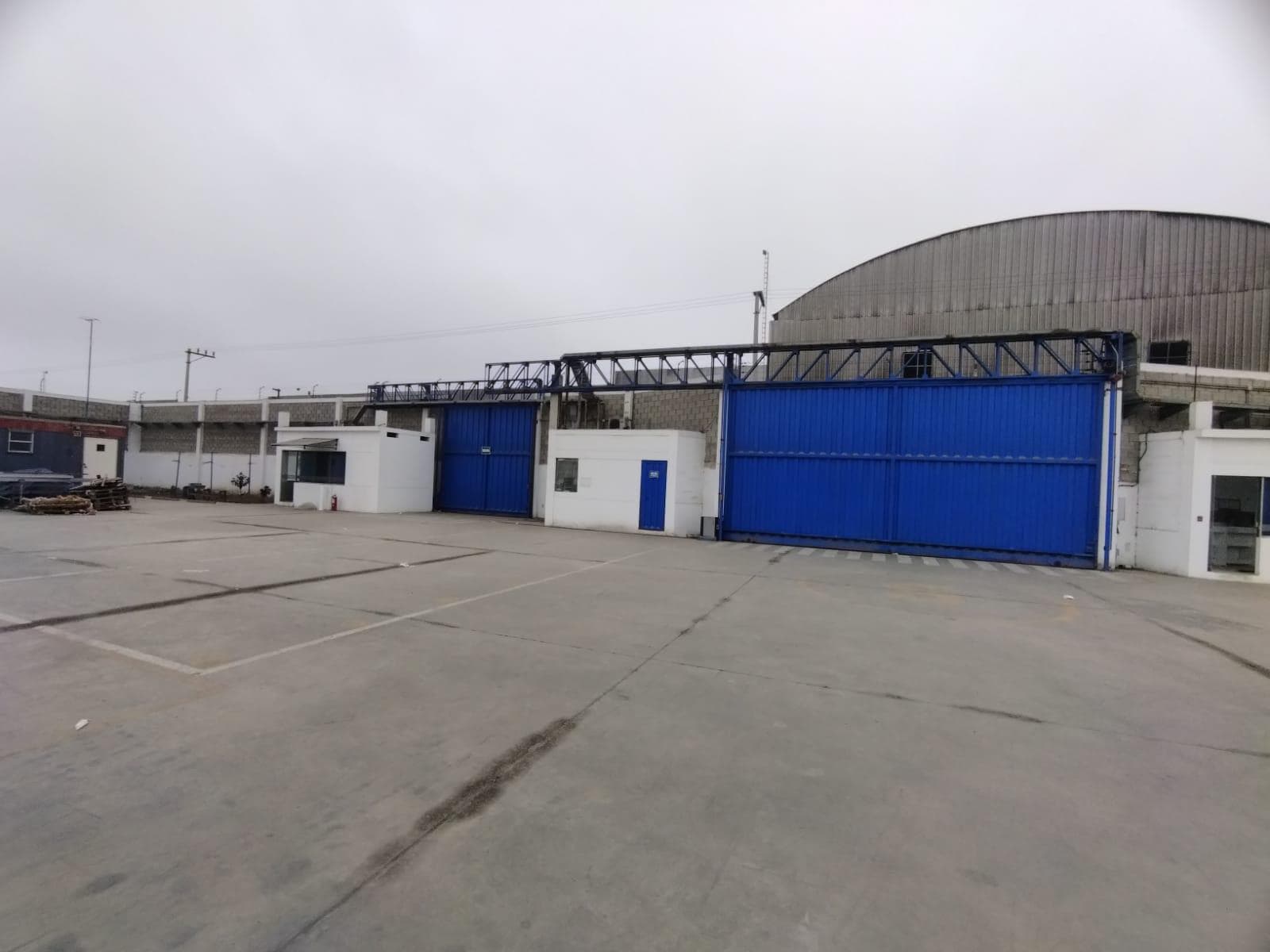 Alquiler Local industrial 10,000 m2 - Lurín - 1
