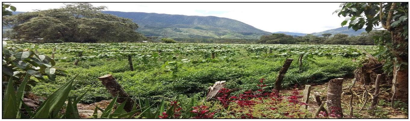 Terreno En Oxapampa: 1.9203 Hectáreas De Naturaleza, Inversión Y Oportunidad Única - 1