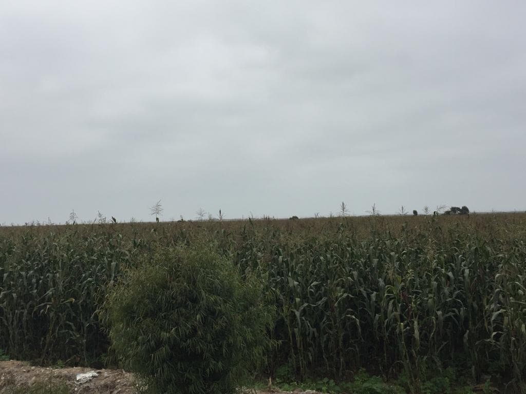 ¡¡Venta de Terreno en Chancay!! - 1