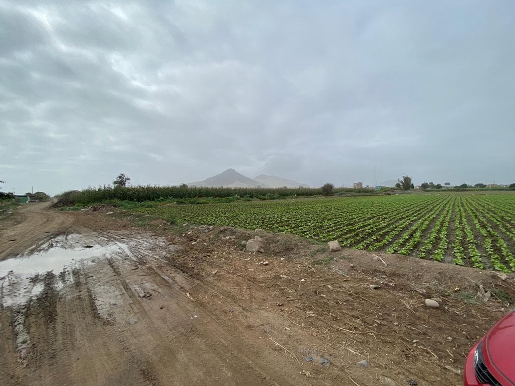 Oportunidad Única: Terreno De 1.23 Hectáreas En Provincia De Chancay - 1
