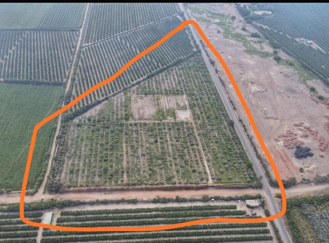 Vendo Amplio Terreno Agricola, Urbano, Industrial n Fundo Alto Laran Chincha Ica - 1