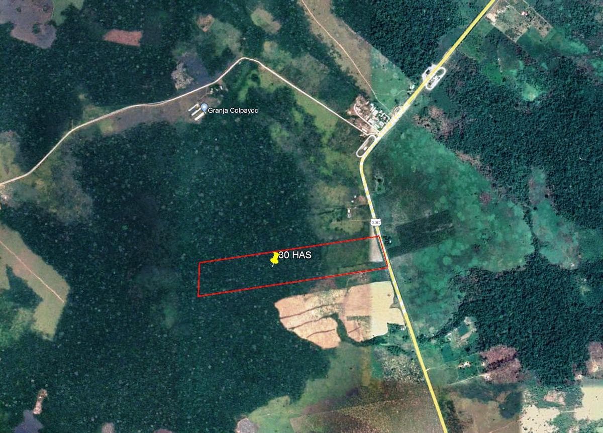 ¡TU OPORTUNIDAD DE ORO EN MADRE DE DIOS: A UN PASO DEL PLANCHON! - 1