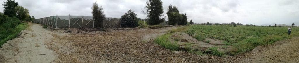 Venta de Terreno Urbano en Parcela UCT-79, Pampas de Chimbote, Ancash - 1