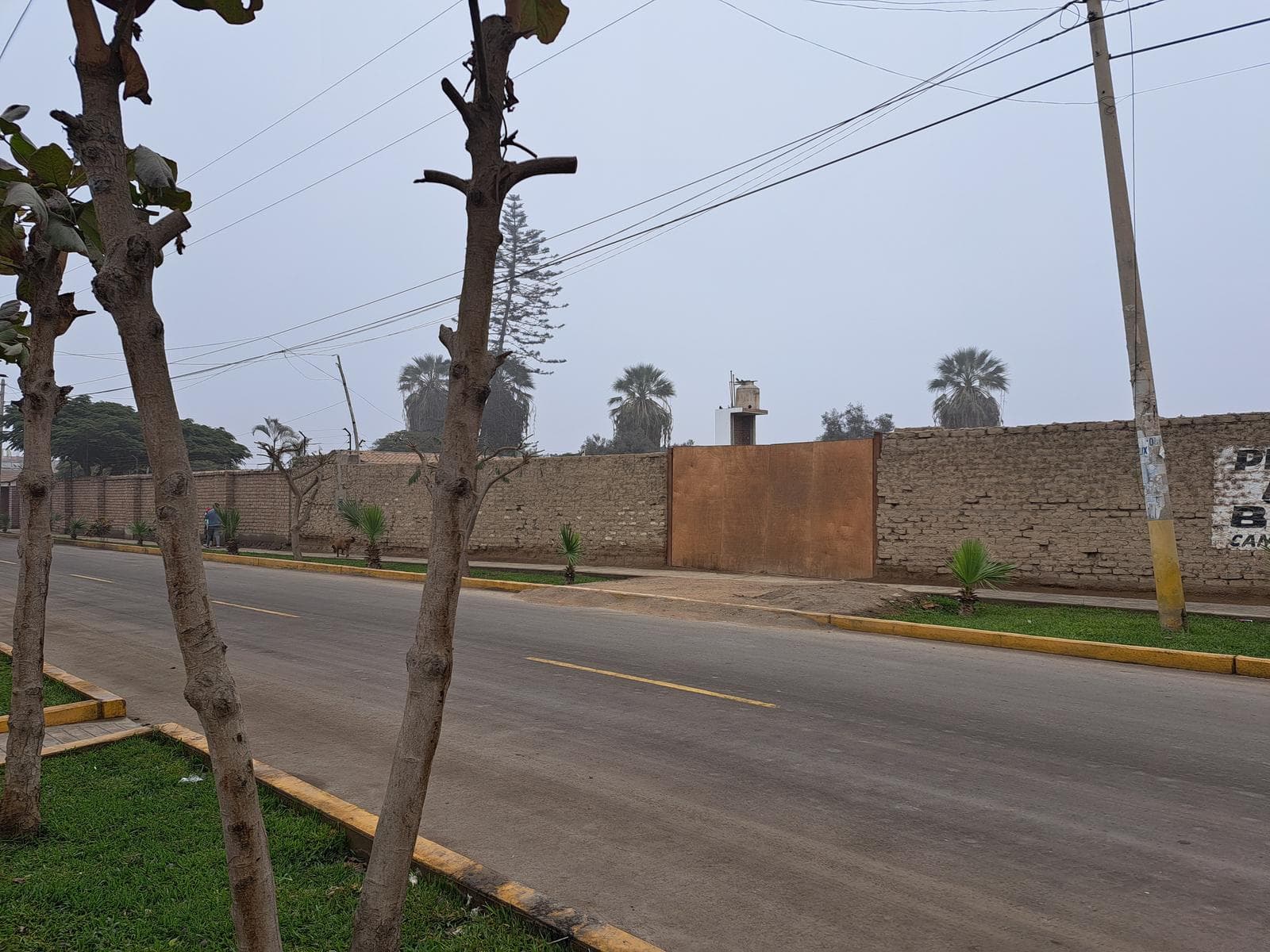 Vendo Lotes En La Mejor Zona De Grocio Prado Av. El Progreso Provincia De Chincha - Ica - 1