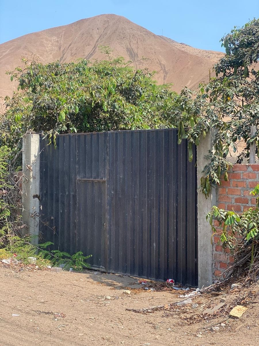 Terreno en Alquiler Panamericana Sur Km 74.5 - 1