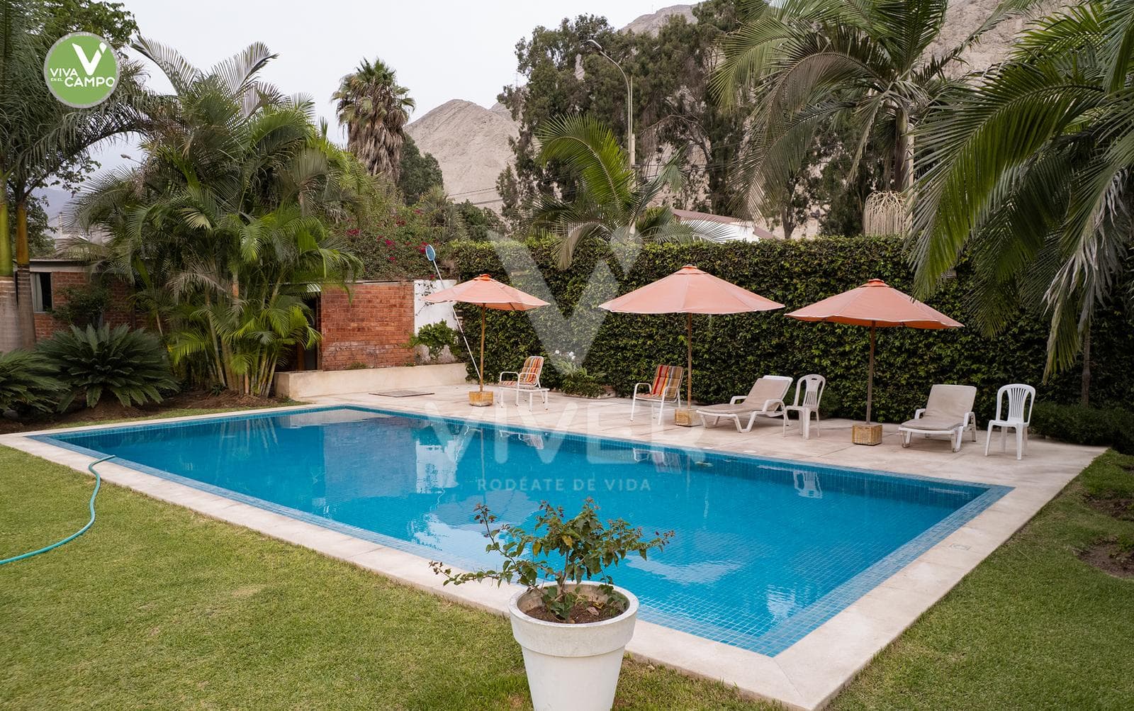 Alquiler de casa campo de 3000 m² - 1
