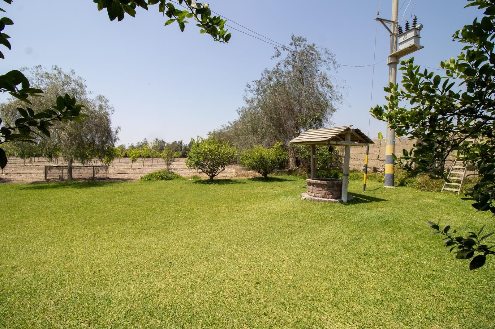 Venta de Terreno en El Carmen, Chincha – 65,000 m² - 1