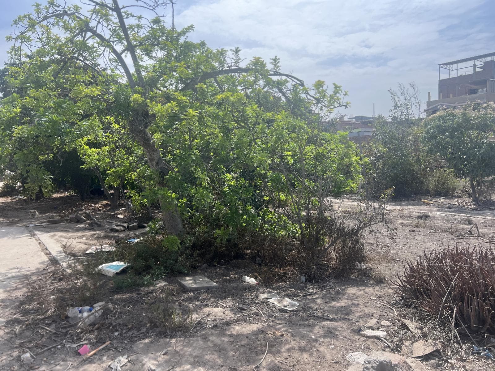 Terreno en Surco viejo cerca a Base las Palmas - 1