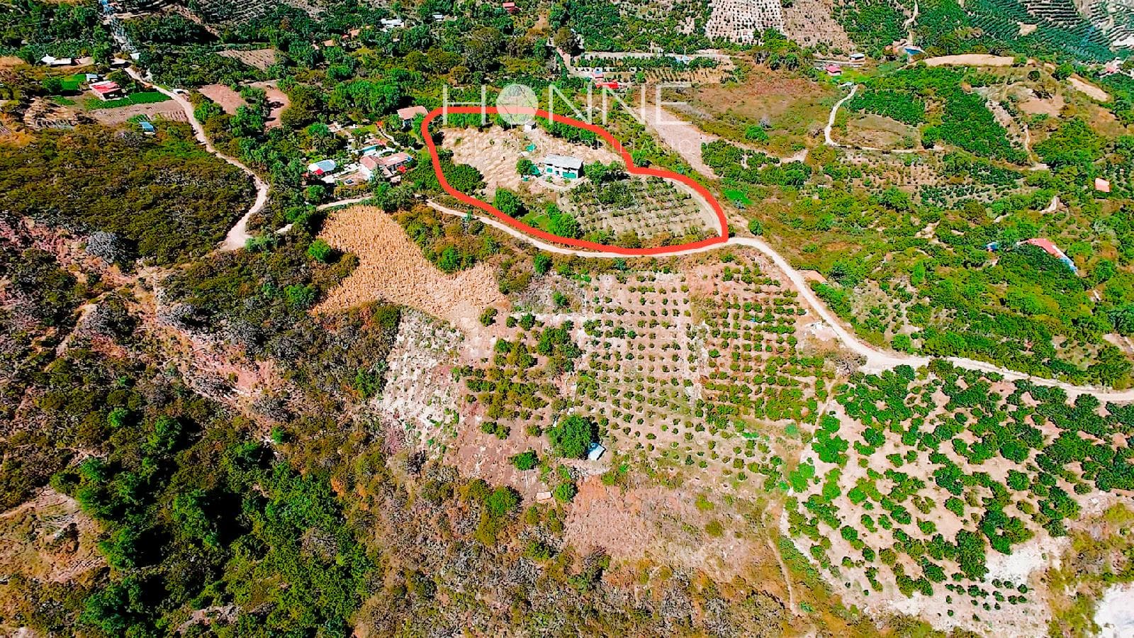 Terreno en Cusco Limatambo Sector Pichuimarca - 1