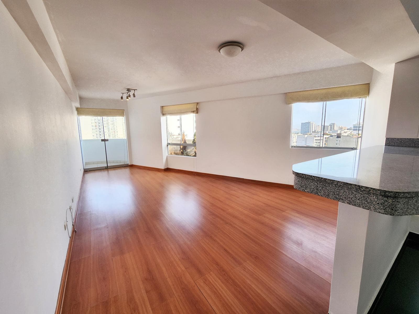 Amplio y cómodo departamento, en la mejor zona de Miraflores - 1
